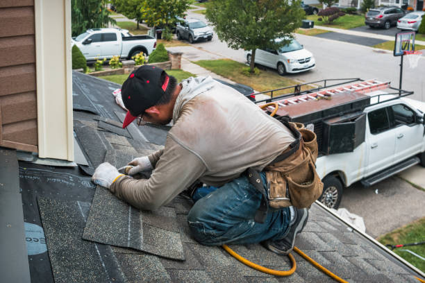 Professional Storm Damage Roof Repair technician working in Gilberts, IL